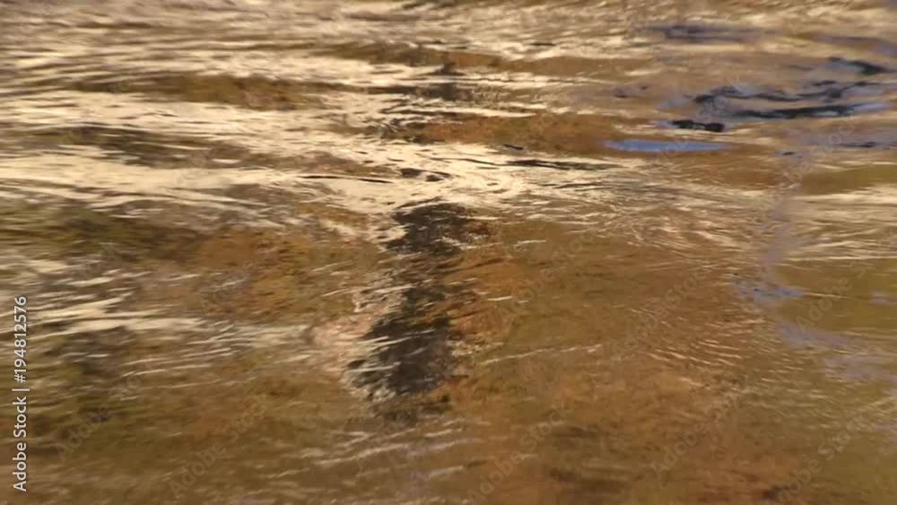 Roma, Italia. Autunno. Fiume Tevere. Riflessi dorati sull'acqua. Zoom out