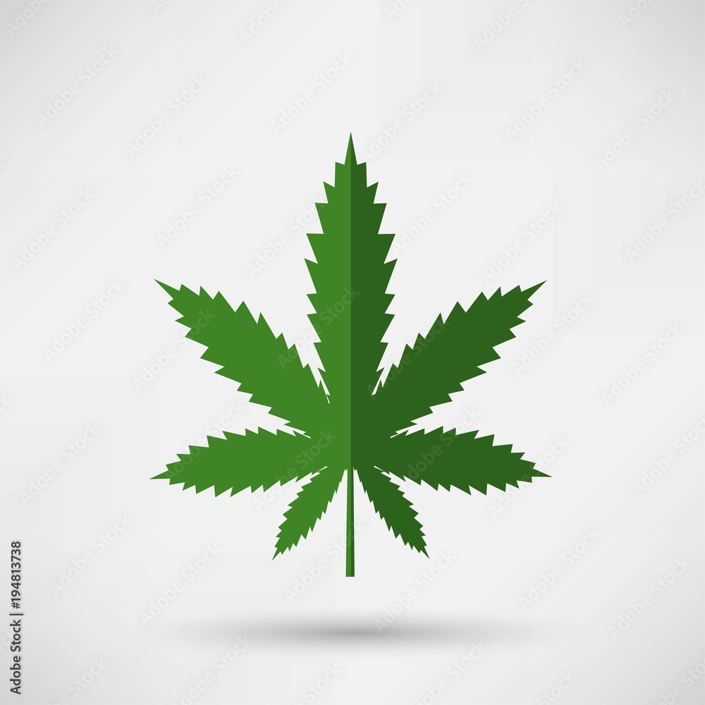 Cannabis leaf icon isolated vector illustration Cannabis leaf icon isolated vector illustration
