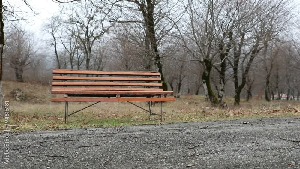 Slider shot. Empty bench at park near pond by foggy day, minimalistic cold season scene. bench at the lake in the fog in the forest. Bench near lake with fog. Azerbaijan Nature. Caucasus Slider shot. Empty bench at park near pond by foggy day, minimalistic cold season scene. bench at the lake in the fog in the forest. Bench near lake with fog. Azerbaijan Nature. Caucasus