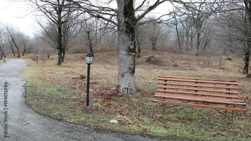 Slider shot. Empty bench at park near pond by foggy day, minimalistic cold season scene. bench at the lake in the fog in the forest. Bench near lake with fog. Azerbaijan Nature. Caucasus