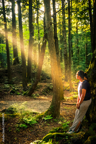 A gril in the shining rays of sun in the suicide forest near mount Fuji, japan