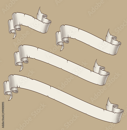 Papyrus Scroll Curved Diagonal Four Sizes 2
