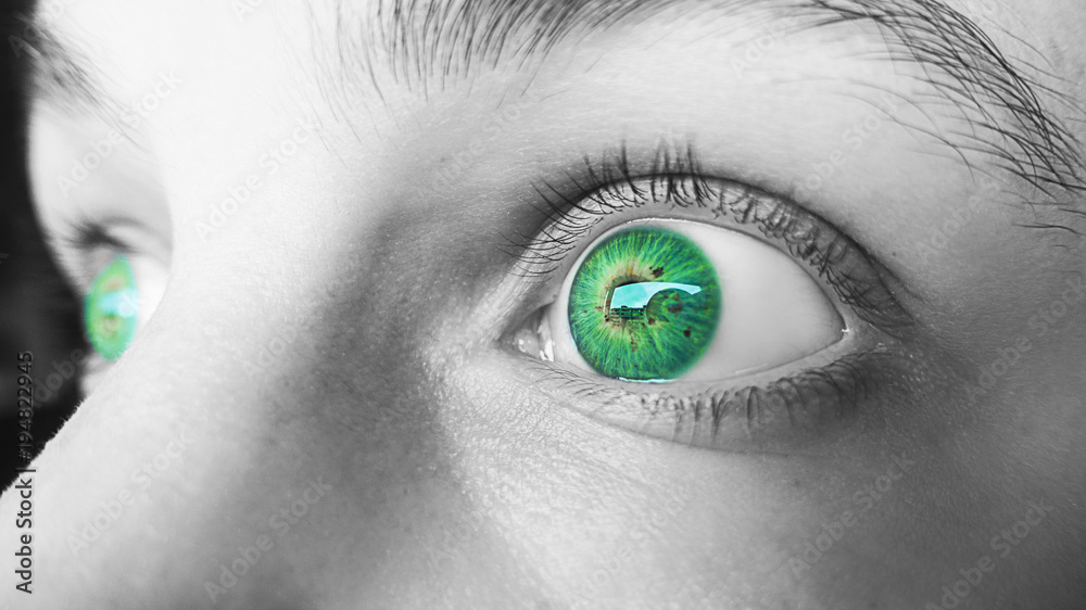 Foto Stock occhi verdi lenti a contatto colorate | Adobe Stock