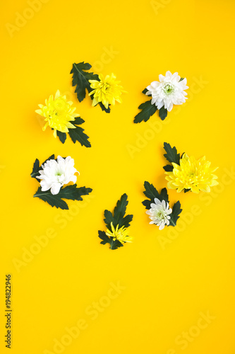 Round frame. white and yellow chrysanthemums on a yellow background