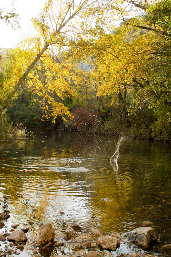 Obraz premium River´s shore in autumn.
