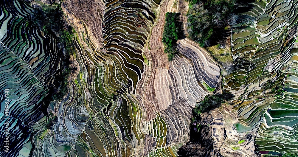 Aerial view on world's most spectacular rice fields, the Yuanyang Hani ...