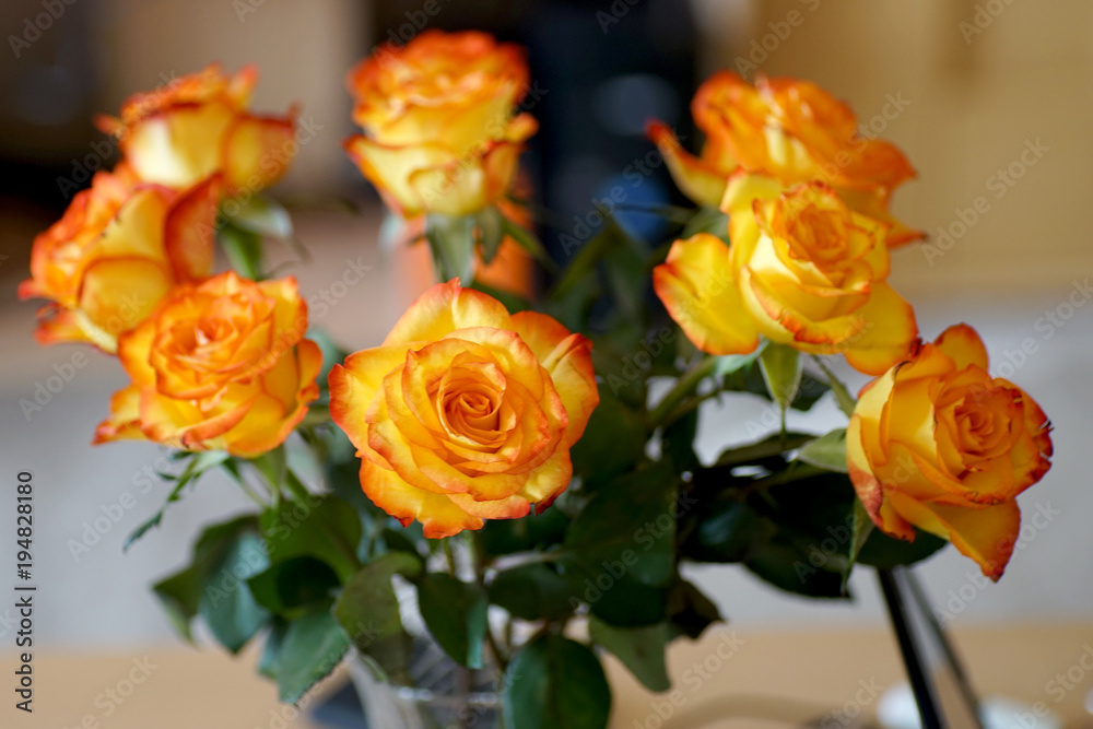 Gelbe Rosen bedeuten Neid, Eifersucht, Untreue und Probleme Stock Photo