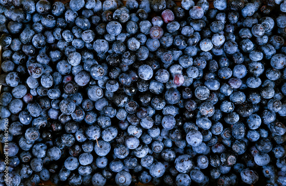 Flat lay of fresh blueberry Flat lay of fresh blueberry