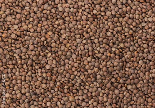 Brown lentils texture photo