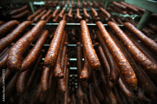 Photography Home made sausages hanging in smokehouse and preparing for consummation