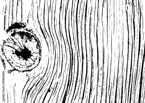Realistic wooden texture background. Grunge wood pattern. Monochrome textured bark log tree. Vector illustration backdrop. Vintage graphic board. Dirty rough pine board. Black white template.