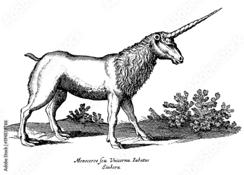 Unicorn standing in landscape with bushes, isolated on white background. Illustration after vintage woodcut engraving from 17th century
