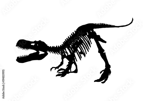 tyrannosaurus rex skeleton fossil  isolated dinosaur vector illustration on white background