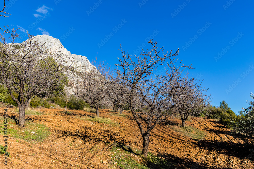 the Sainte Victoire mountain, in Provence the Sainte Victoire mountain, in Provence