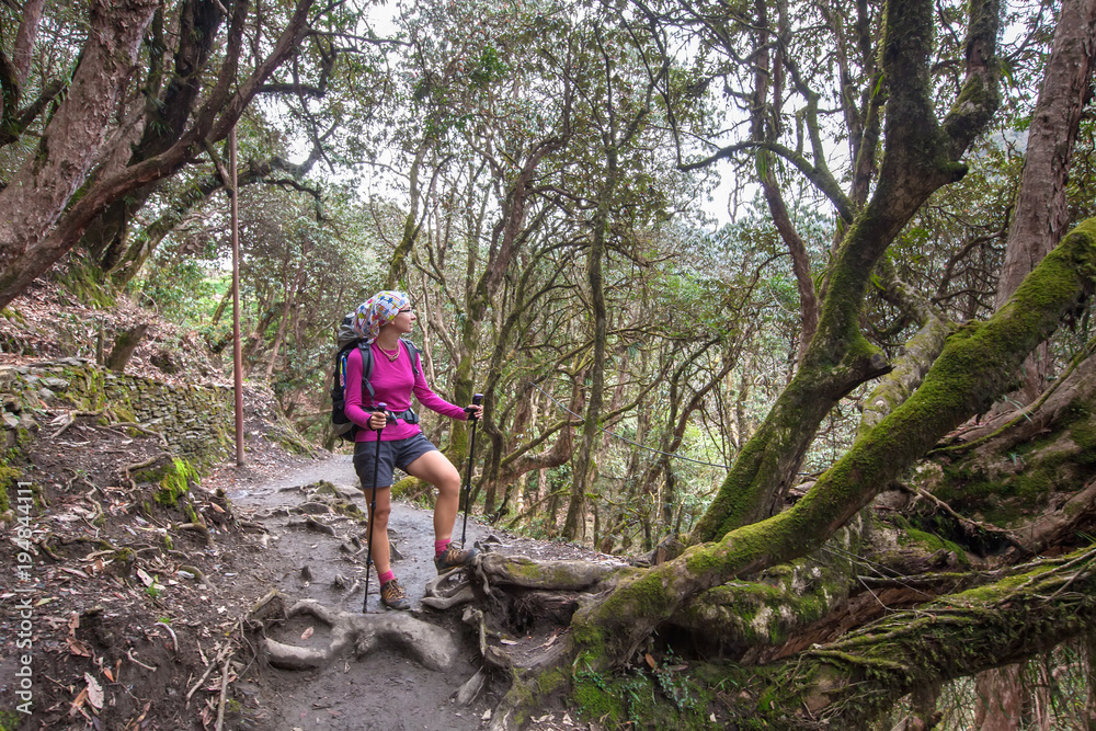 Trekker in the forest on the way to Annapurna base camp, Nepal Trekker in the forest on the way to Annapurna base camp, Nepal