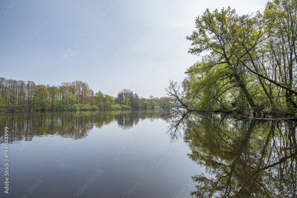 Tranquil Water Reflections on Lake De Witt / Germany