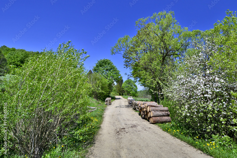 Rural road and spring landscape, Beskid Niski, Poland Rural road and spring landscape, Beskid Niski, Poland