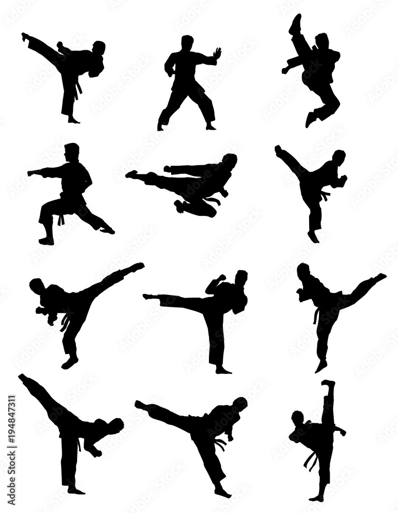 martial arts silhouettes