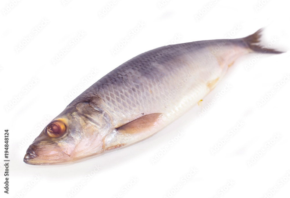 Herring on a white isolated background Herring on a white isolated background
