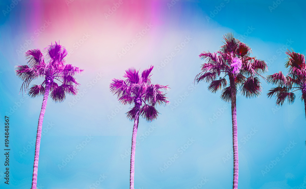 Naklejka premium Ultra fioletowe palmy w Los Angeles. Tonowanie