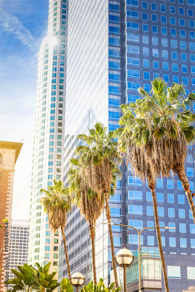 Fototapeta premium Palmy i drapacze chmur w Los Angeles.