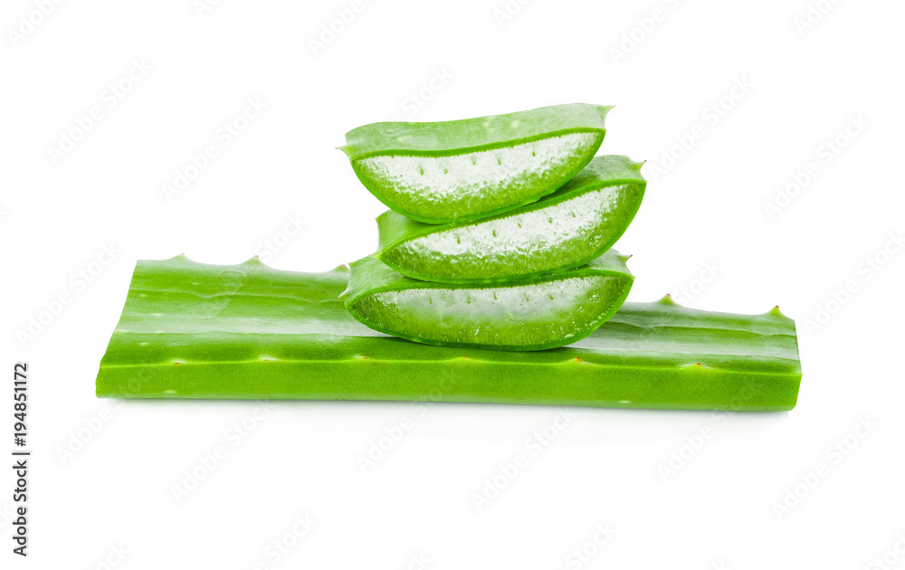 aloe vera fresh leaf isolated on white background