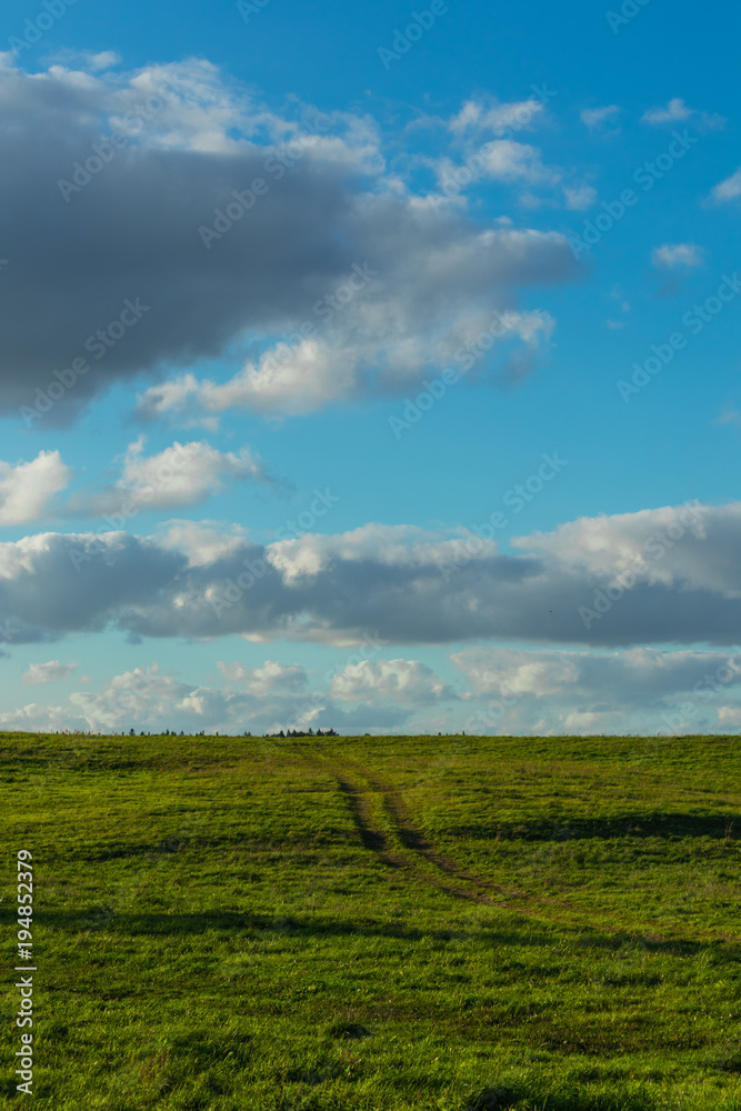 Green field and a blue sky