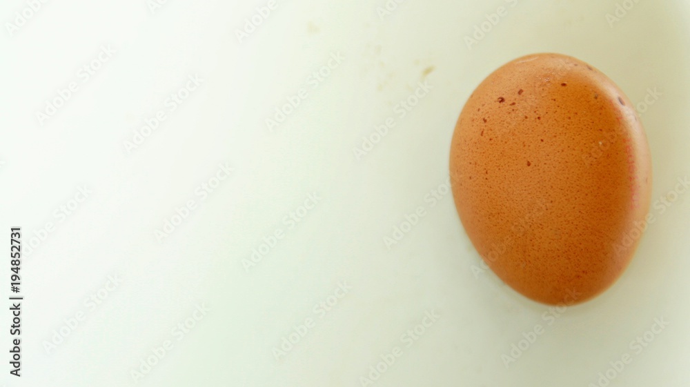 Fresh egg Fresh egg