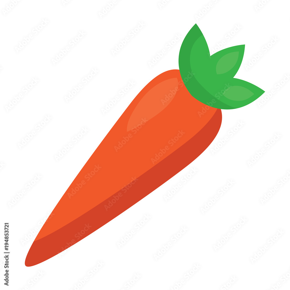 vegetable food healthy carrot fresh vector illustration vegetable food healthy carrot fresh vector illustration