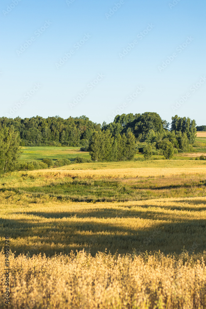 Countryside landscape on a sunny day