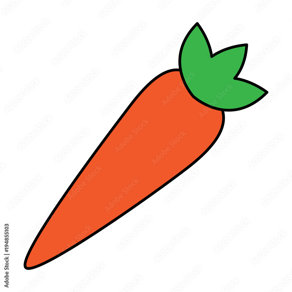 vegetable food healthy carrot fresh vector illustration vegetable food healthy carrot fresh vector illustration