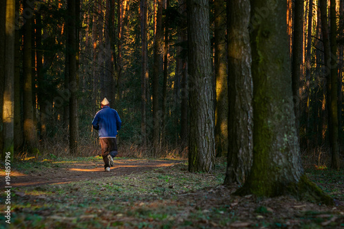 Man trail running in the forest. Morning jogging in the thicket of the forest. Silhouette of an athlete running in the park