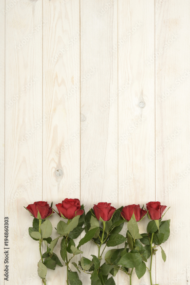 Rosas de color rojo sobre fondo de madera blanca