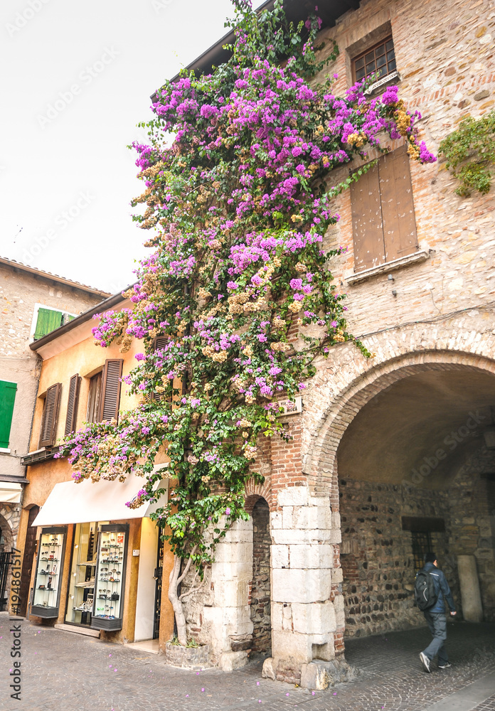 Obraz premium SIRMIONE, ITALY Facade of house in center of Sirmione with flowering pink bougainvillea.traditional summer facade decoration of an old house in Italy, italy street.Old house covered by ivy