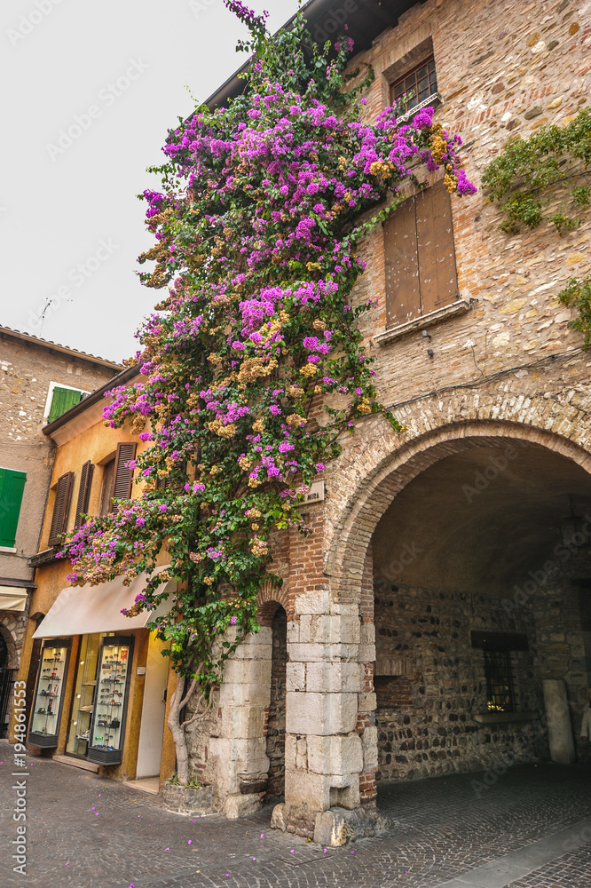 SIRMIONE, ITALY  Facade of house in center of Sirmione with flowering pink bougainvillea.traditional summer facade decoration of an old house in Italy, italy street.Old house covered by ivy
