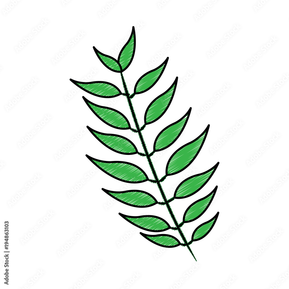 tropical leaf green spring season eco nature vector illustration drawing design tropical leaf green spring season eco nature vector illustration drawing design