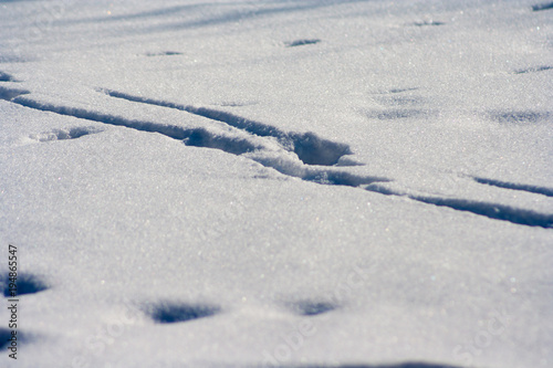 traces on snow background