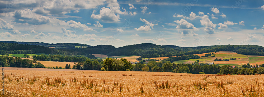 Naklejka premium Green field and blue sky with light clouds. Wide photo.