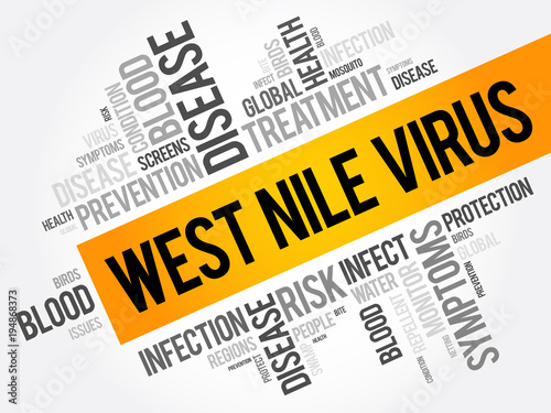 West Nile Virus word cloud collage, health concept background