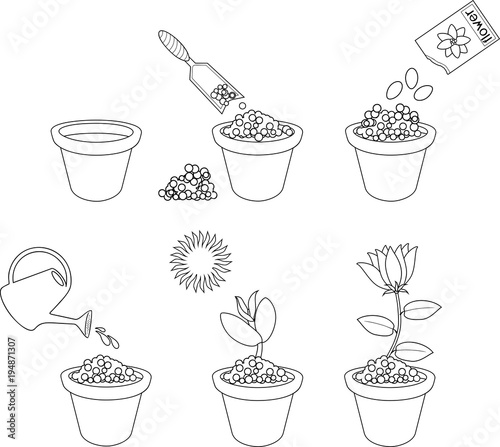 Coloring page. Instructions on how to plant flower in six easy steps. Step by step