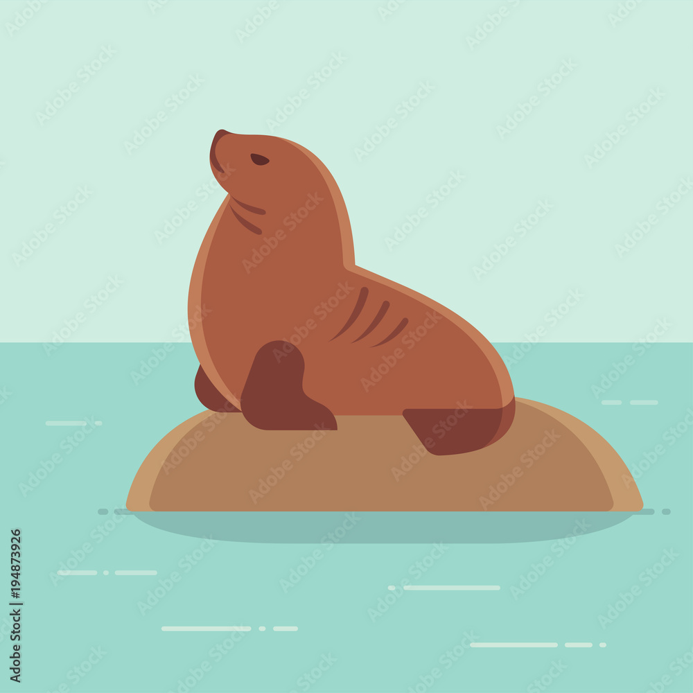 Cartoon sea lion drawing Stock Vector | Adobe Stock