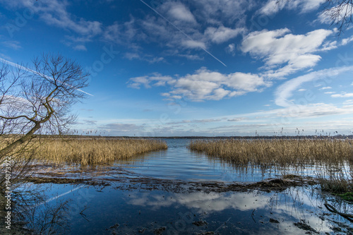 A lake in the nature reserve in winter with sunshine and blue sky