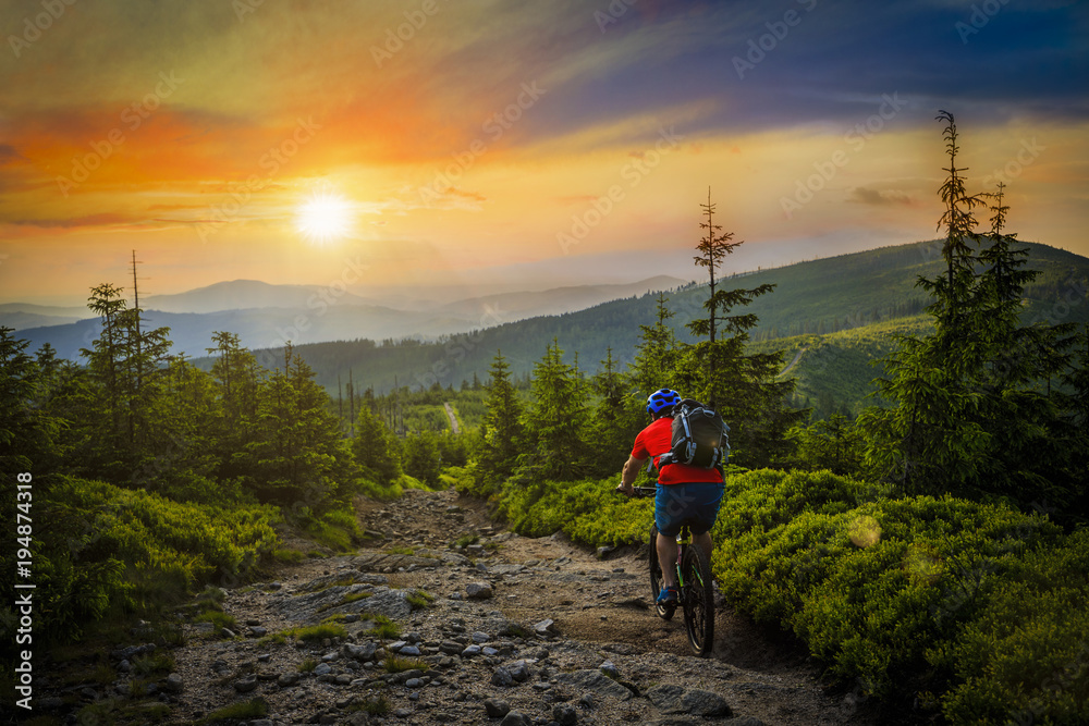 Fototapeta premium Mountain biker riding at sunset on bike in summer mountains forest landscape. Man cycling MTB flow trail track. Outdoor sport activity.