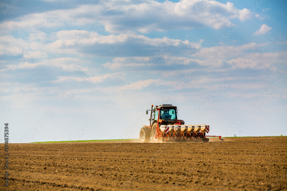 Fototapeta premium Farmer seeding, sowing crops at field. Sowing is the process of planting seeds in the ground as part of the early spring time agricultural activities.