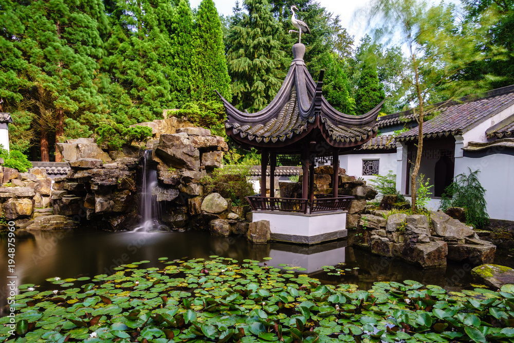 chineese garden at summer