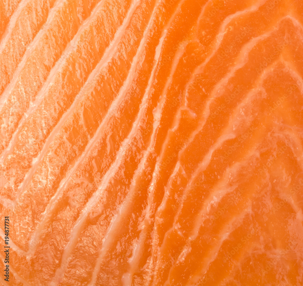 Salmon Fillet Texture