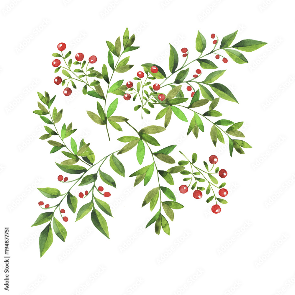 Set of green fresh branches with red berries and leaves isolated on white background. Hand drawn watercolor illustration. Set of green fresh branches with red berries and leaves isolated on white background. Hand drawn watercolor illustration.