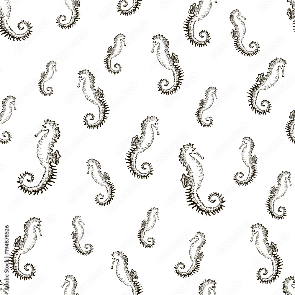 Obraz premium Vector seamless pattern with seahorse.