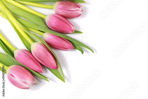 Flowers on white background with copy space
