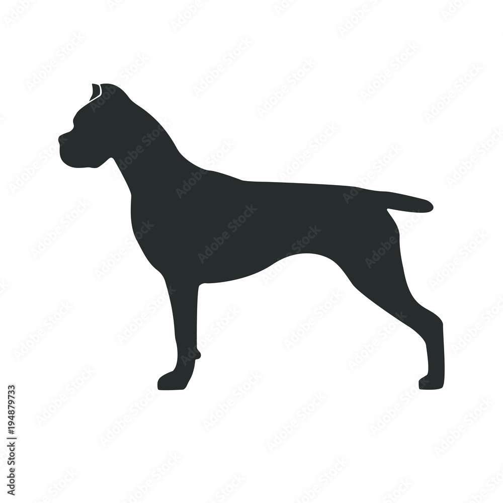 Silhouette The Cane Corso Italiano. Dog stand in black profile on white background. Design element for a logo of nursery logo, print, icon etc. Vector illustration.